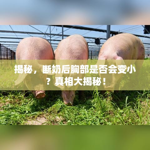 曇花一現(xiàn) 第2頁