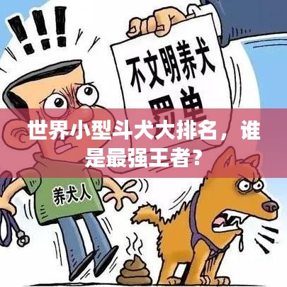 世界小型斗犬大排名，誰(shuí)是最強(qiáng)王者？