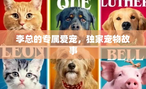 李總的專屬愛寵，獨家寵物故事
