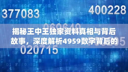 揭秘王中王獨(dú)家資料真相與背后故事，深度解析4959數(shù)字背后的秘密