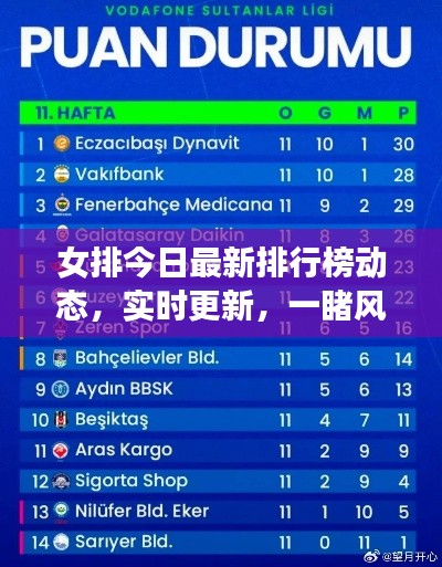 女排今日最新排行榜動(dòng)態(tài)，實(shí)時(shí)更新，一睹風(fēng)采！