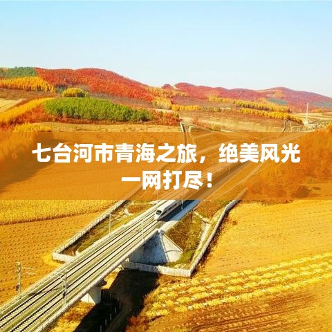 七臺河市青海之旅，絕美風光一網(wǎng)打盡！