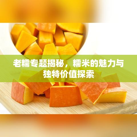 老糯專題揭秘，糯米的魅力與獨(dú)特價(jià)值探索