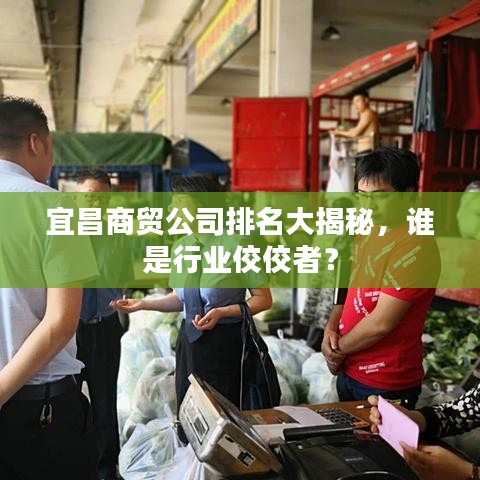 宜昌商貿(mào)公司排名大揭秘，誰是行業(yè)佼佼者？