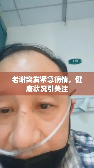 老謝突發(fā)緊急病情，健康狀況引關(guān)注