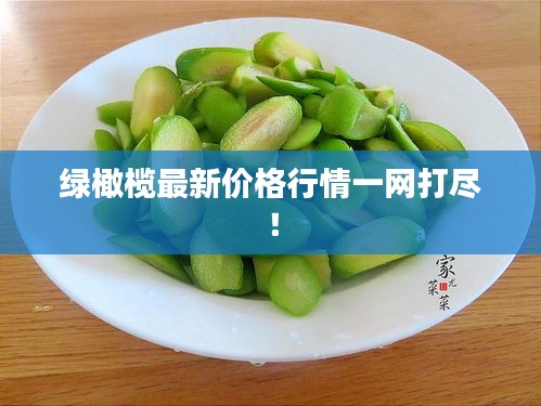 綠橄欖最新價(jià)格行情一網(wǎng)打盡！