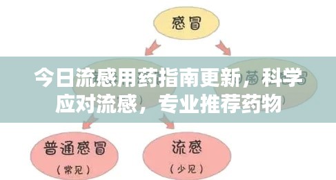 今日流感用藥指南更新，科學(xué)應(yīng)對流感，專業(yè)推薦藥物