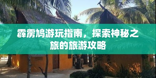 霹靂鳩游玩指南，探索神秘之旅的旅游攻略