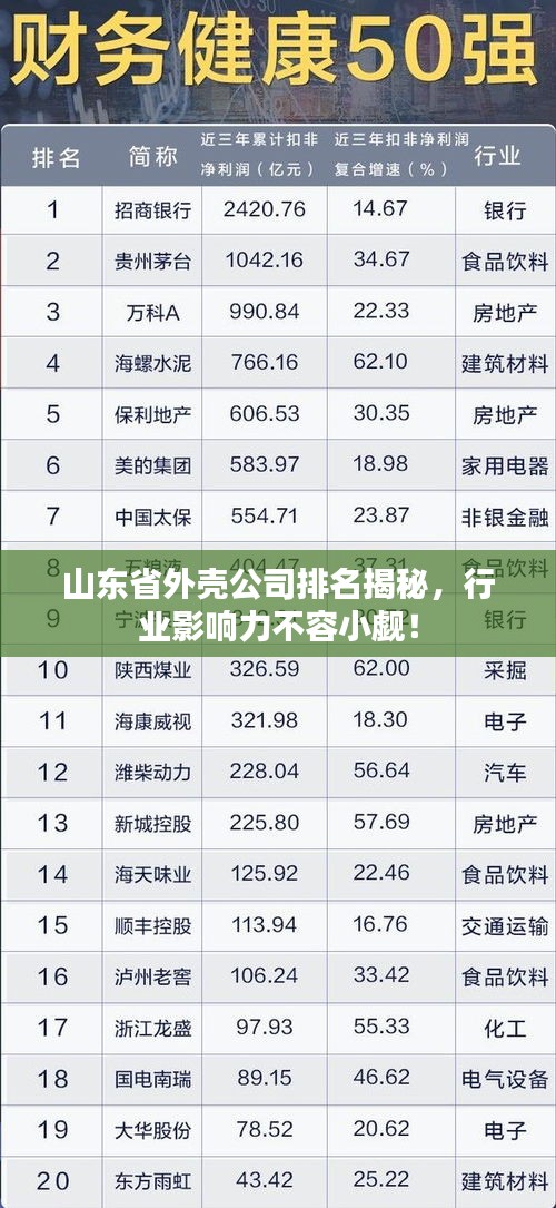 山東省外殼公司排名揭秘，行業(yè)影響力不容小覷！