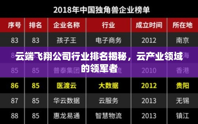 云端飛翔公司行業(yè)排名揭秘，云產(chǎn)業(yè)領(lǐng)域的領(lǐng)軍者