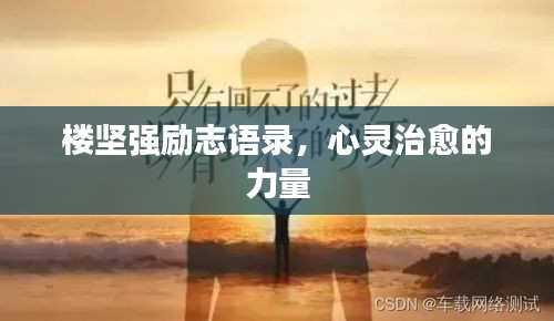 樓堅強勵志語錄，心靈治愈的力量