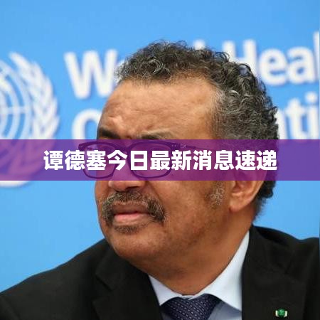 譚德塞今日最新消息速遞