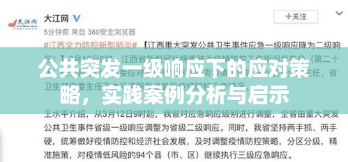 公共突發(fā)一級響應下的應對策略，實踐案例分析與啟示