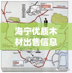 海寧優(yōu)質(zhì)木材出售信息，最新動態(tài)一網(wǎng)打盡