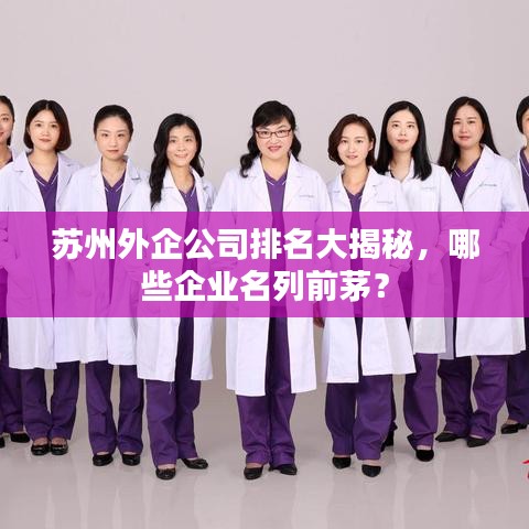 蘇州外企公司排名大揭秘，哪些企業(yè)名列前茅？
