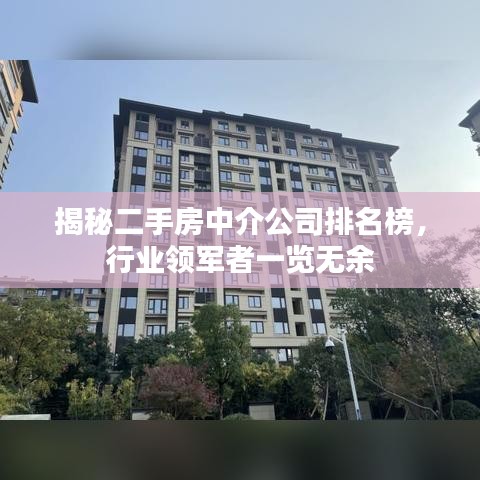 揭秘二手房中介公司排名榜，行業(yè)領(lǐng)軍者一覽無(wú)余