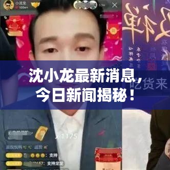 沈小龍最新消息，今日新聞揭秘！