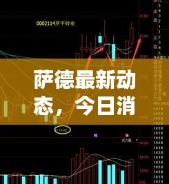 薩德最新動態(tài)，今日消息更新揭秘！
