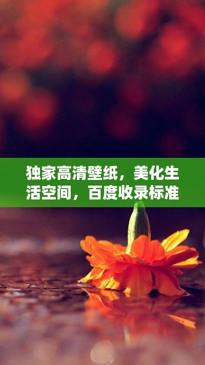 獨(dú)家高清壁紙，美化生活空間，百度收錄標(biāo)準(zhǔn)標(biāo)題！