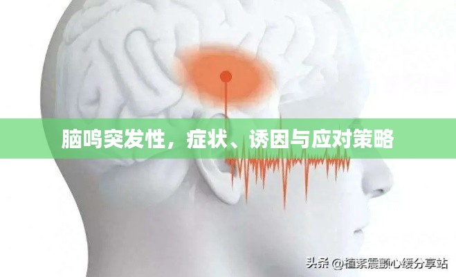 腦鳴突發(fā)性，癥狀、誘因與應(yīng)對策略