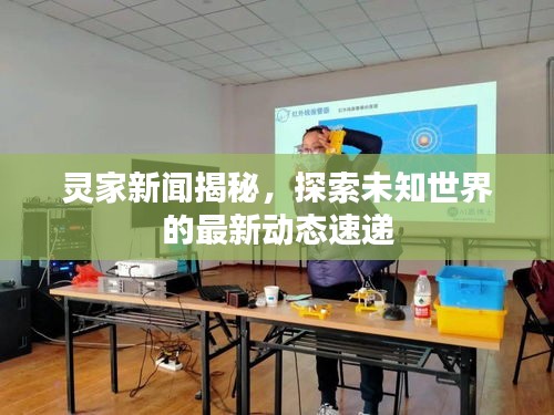 靈家新聞揭秘，探索未知世界的最新動(dòng)態(tài)速遞
