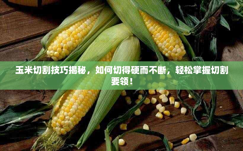 玉米切割技巧揭秘，如何切得硬而不斷，輕松掌握切割要領(lǐng)！