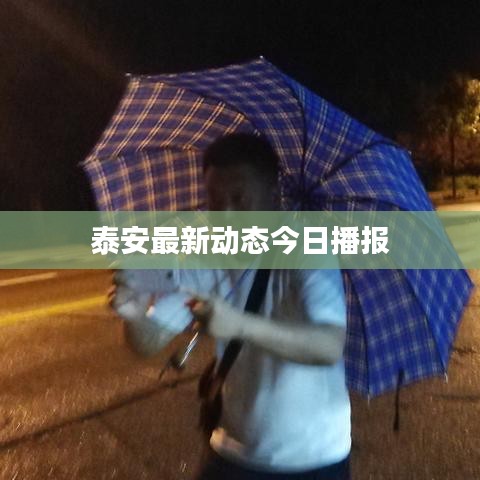 泰安最新動(dòng)態(tài)今日播報(bào)