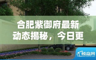 合肥紫御府最新動態(tài)揭秘，今日更新消息！