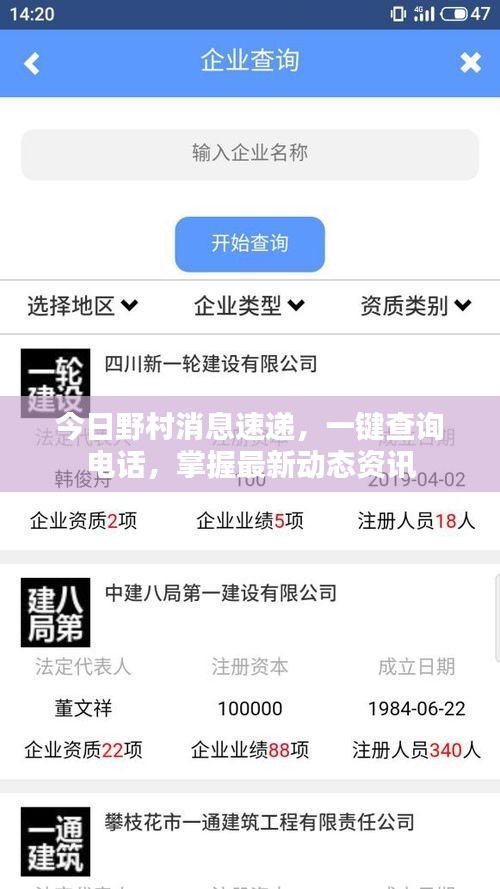 今日野村消息速遞，一鍵查詢電話，掌握最新動態(tài)資訊