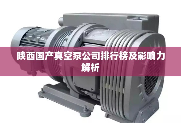 陜西國產(chǎn)真空泵公司排行榜及影響力解析
