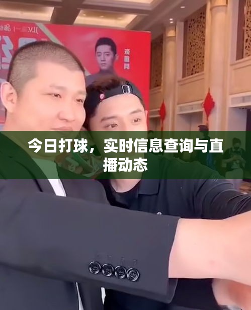 今日打球，實(shí)時(shí)信息查詢與直播動(dòng)態(tài)