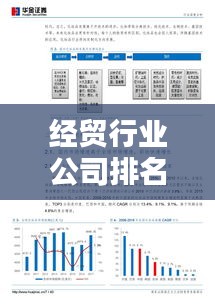 經(jīng)貿(mào)行業(yè)公司排名大揭秘，深度解析企業(yè)影響力！