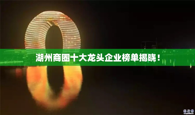 湖州商圈十大龍頭企業(yè)榜單揭曉！