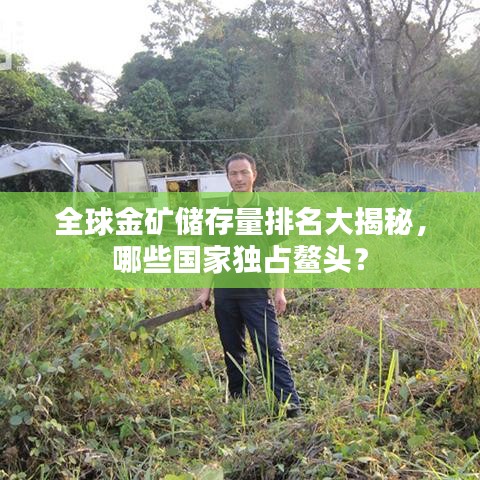 全球金礦儲存量排名大揭秘，哪些國家獨(dú)占鰲頭？