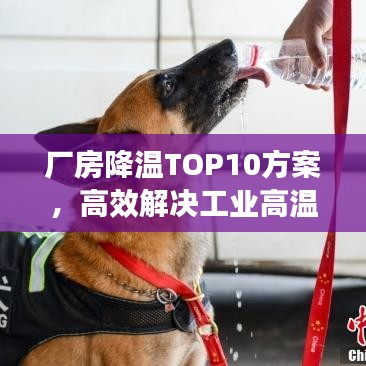 廠房降溫TOP10方案，高效解決工業(yè)高溫，助力生產(chǎn)環(huán)境優(yōu)化