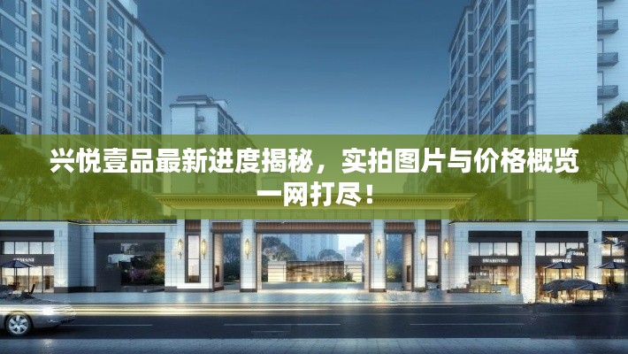 興悅壹品最新進度揭秘，實拍圖片與價格概覽一網(wǎng)打盡！