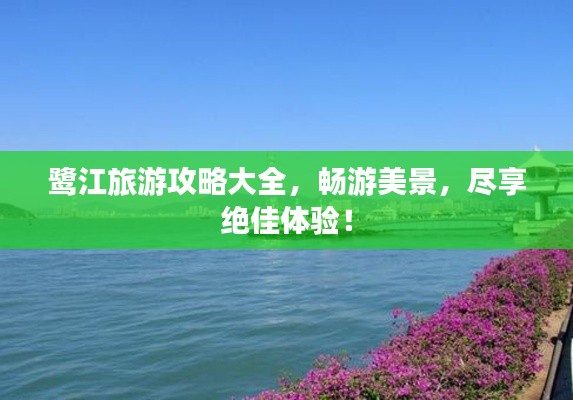 鷺江旅游攻略大全，暢游美景，盡享絕佳體驗！