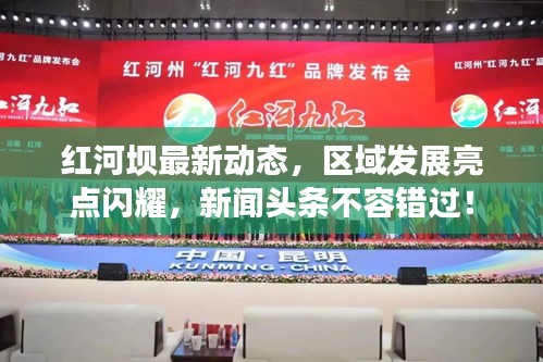 紅河壩最新動(dòng)態(tài)，區(qū)域發(fā)展亮點(diǎn)閃耀，新聞?lì)^條不容錯(cuò)過(guò)！