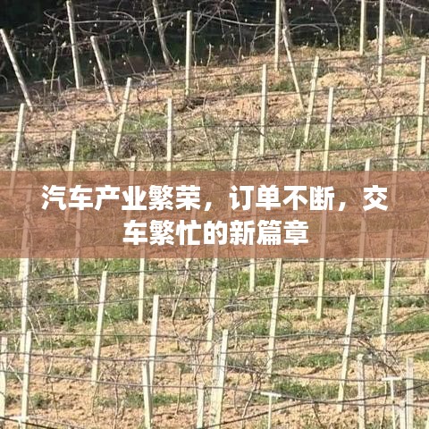 汽車產(chǎn)業(yè)繁榮，訂單不斷，交車繁忙的新篇章