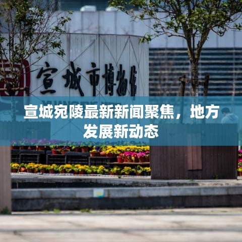 宣城宛陵最新新聞聚焦，地方發(fā)展新動態(tài)