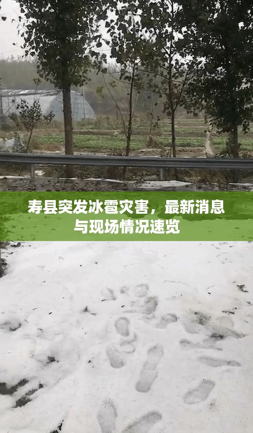 壽縣突發(fā)冰雹災(zāi)害，最新消息與現(xiàn)場(chǎng)情況速覽