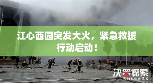 江心西園突發(fā)大火，緊急救援行動啟動！