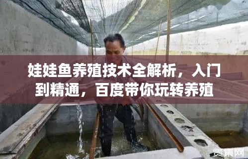 娃娃魚養(yǎng)殖技術(shù)全解析，入門到精通，百度帶你玩轉(zhuǎn)養(yǎng)殖
