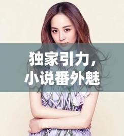獨家引力，小說番外魅力大揭秘