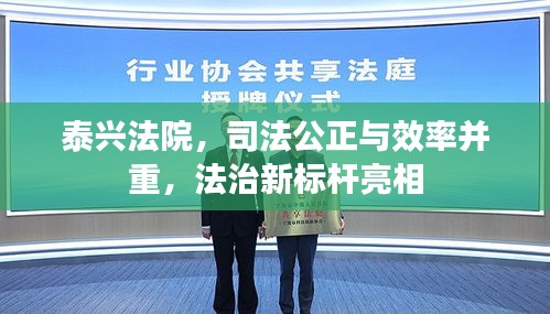 泰興法院，司法公正與效率并重，法治新標(biāo)桿亮相