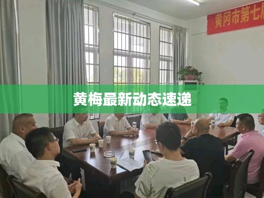 黃梅最新動態(tài)速遞