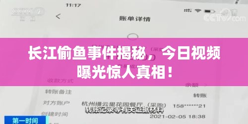 長江偷魚事件揭秘，今日視頻曝光驚人真相！