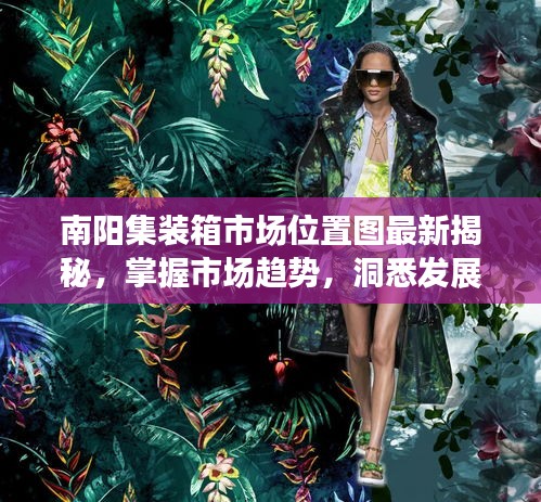 南陽(yáng)集裝箱市場(chǎng)位置圖最新揭秘，掌握市場(chǎng)趨勢(shì)，洞悉發(fā)展動(dòng)態(tài)