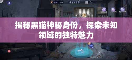 揭秘黑貓神秘身份，探索未知領(lǐng)域的獨特魅力