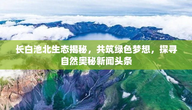 長(zhǎng)白池北生態(tài)揭秘，共筑綠色夢(mèng)想，探尋自然奧秘新聞?lì)^條